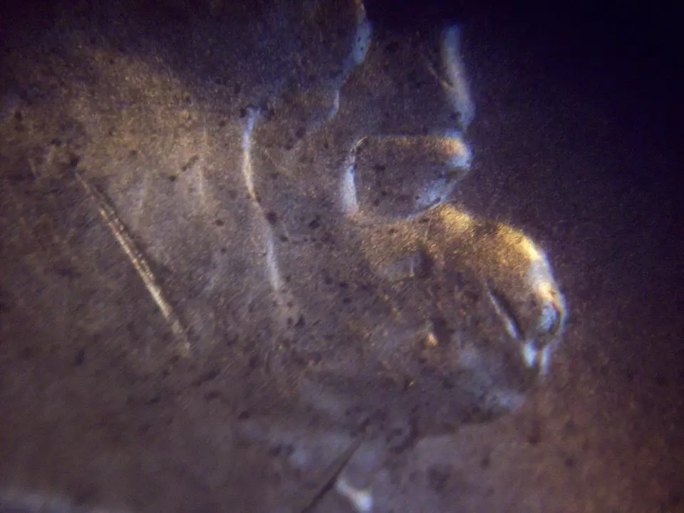 2019-P-LSC-WDDO-011-AU-Found-Coin-Roll-Hunting